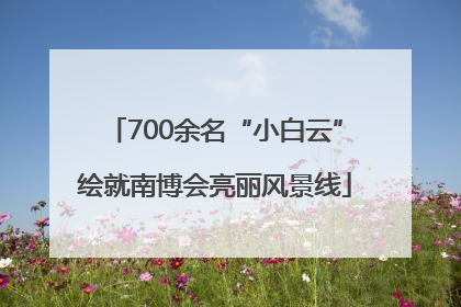 700余名“小白云”绘就南博会亮丽风景线