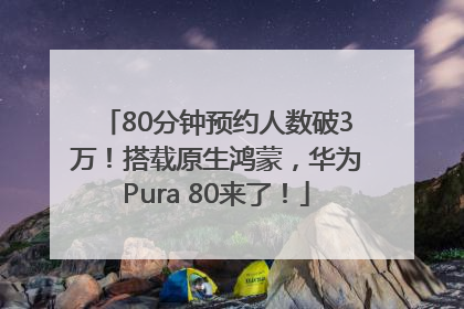80分钟预约人数破3万！搭载原生鸿蒙，华为Pura 80来了！