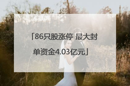 86只股涨停 最大封单资金4.03亿元