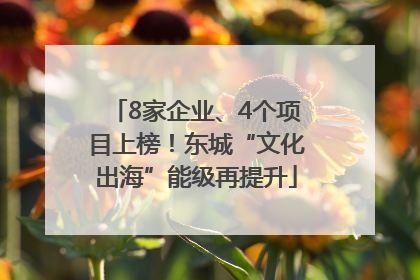 8家企业、4个项目上榜！东城“文化出海”能级再提升