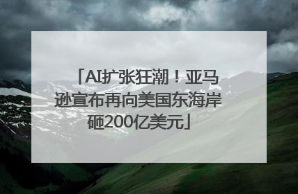 AI扩张狂潮！亚马逊宣布再向美国东海岸砸200亿美元