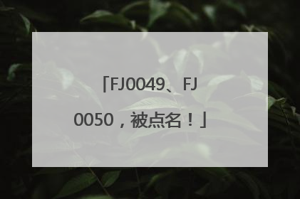 FJ0049、FJ0050，被点名！